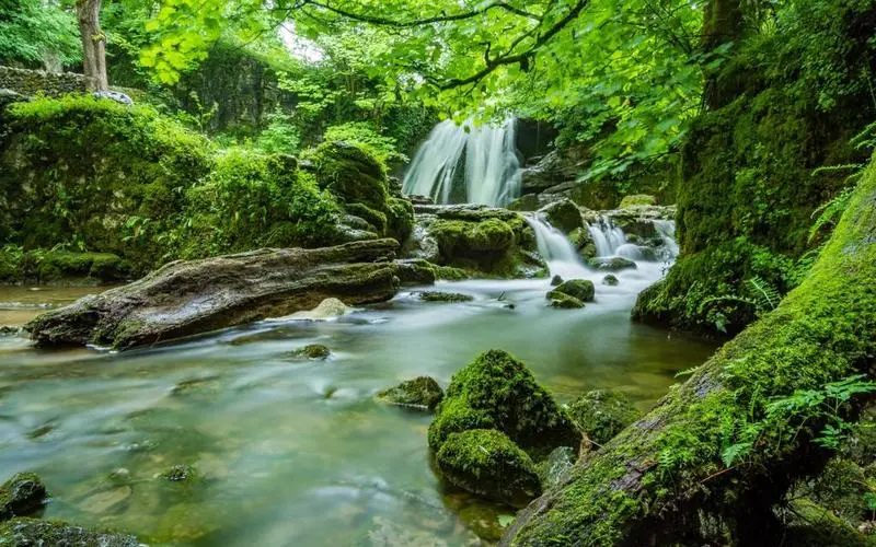 高效高端